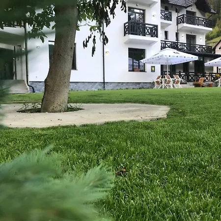 Pensiunea Edelweiss 4* Voineasa