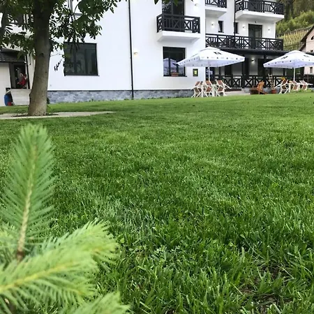 Pensiunea Edelweiss Pensiune 4*
