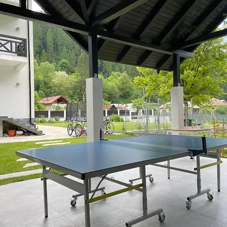 Pensiunea Edelweiss 4* Voineasa