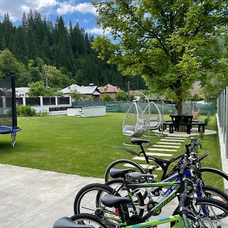 Pensiunea Edelweiss Guest house 4*