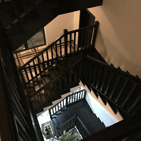 Pensiunea Edelweiss Guest house Voineasa