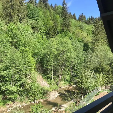 Pensiunea Edelweiss Pensiune Voineasa